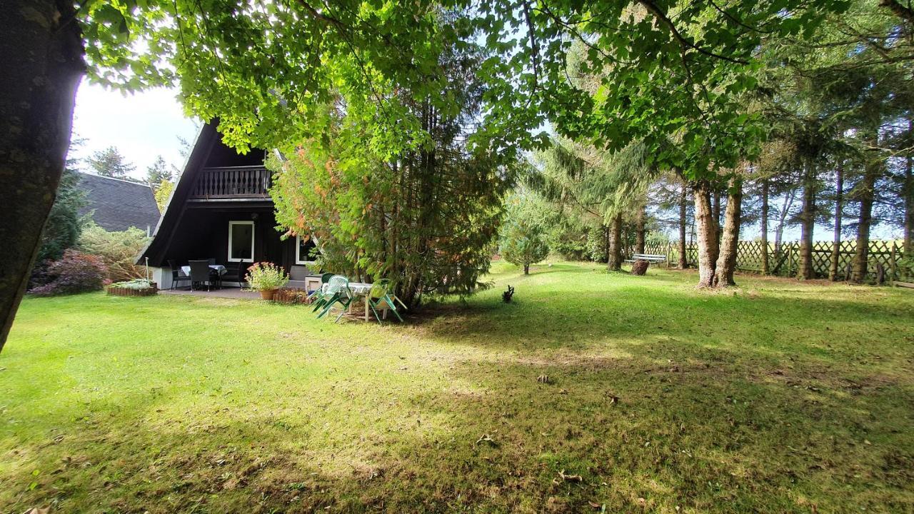 Finnhaus Neubauer Elbingerode (Saxony-Anhalt) Exterior foto