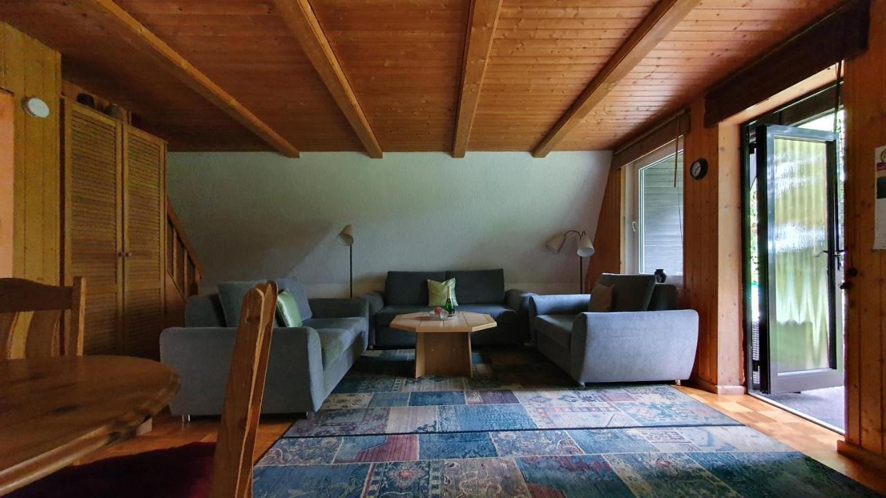 Finnhaus Neubauer Elbingerode (Saxony-Anhalt) Exterior foto